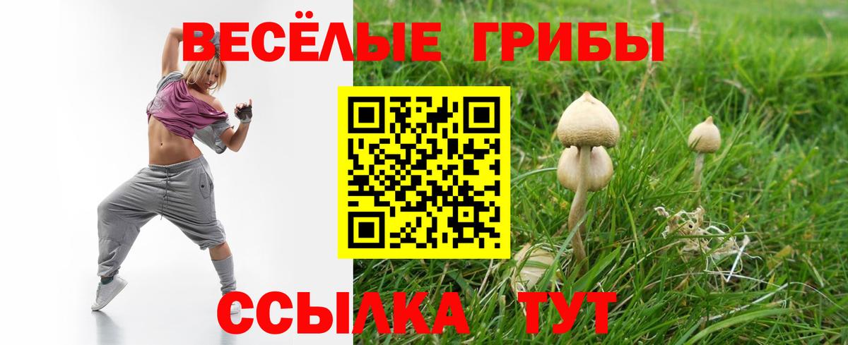 Галлюциногенные грибы прущие грибы Добрянка